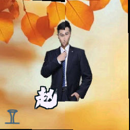 赵霆